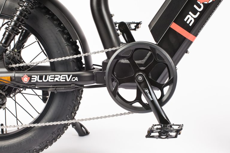 Bluerev Canadian - Image 8